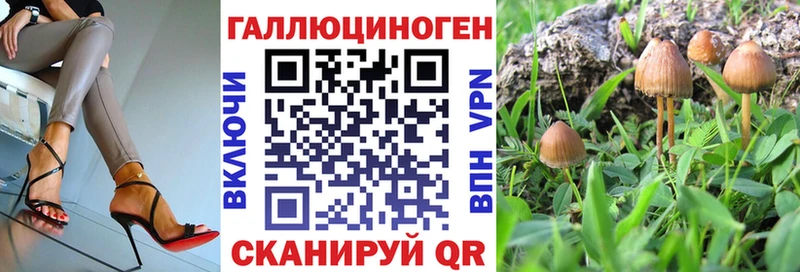 Галлюциногенные грибы Cubensis  Мезень 
